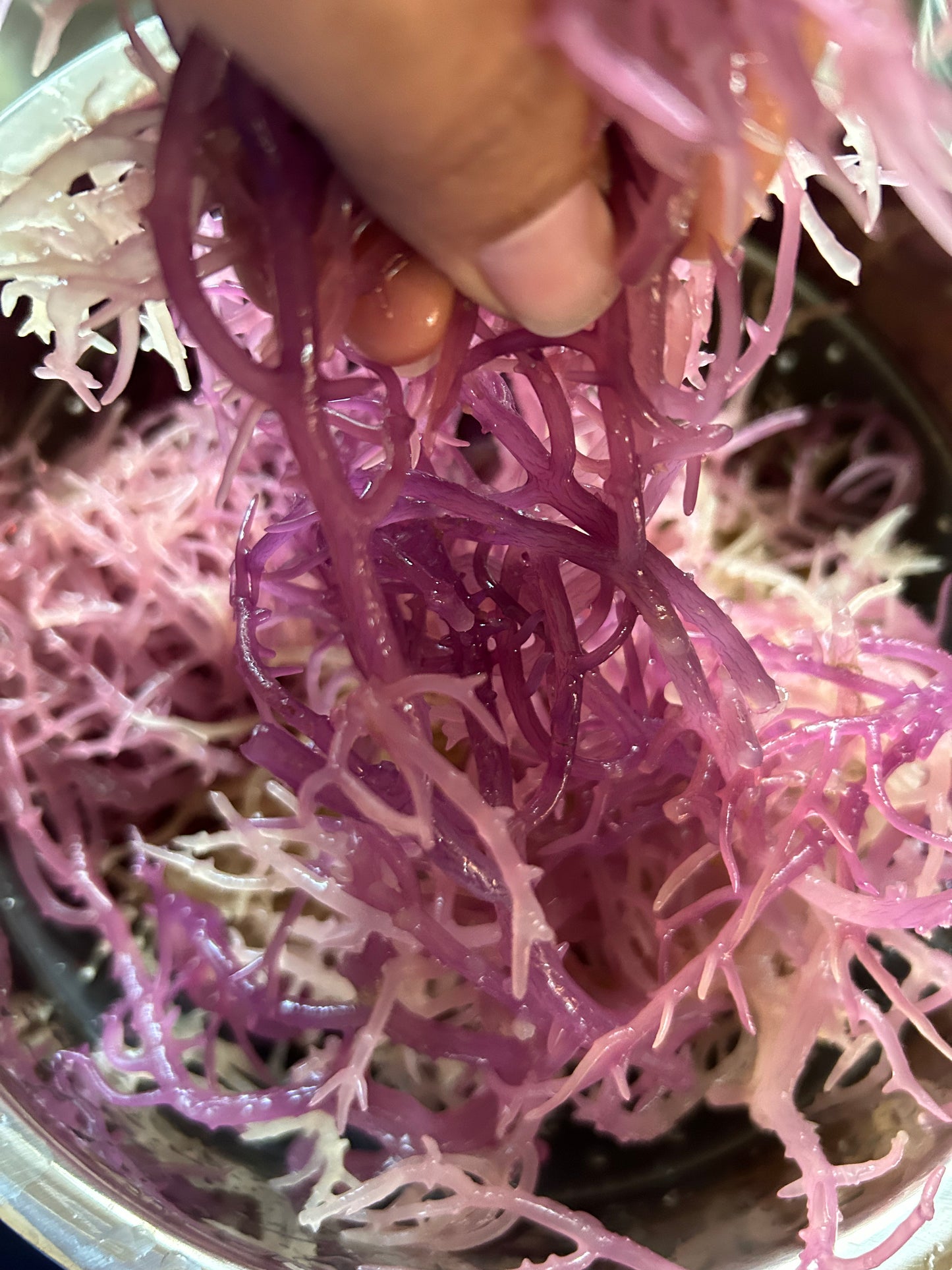 Purple Sea Moss Gel 16oz